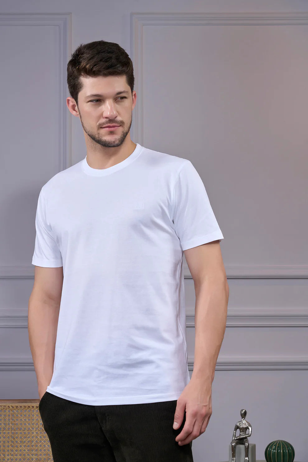 Round Neck & Half Sleeves Bio-Washed Cotton T-shirt ( White )